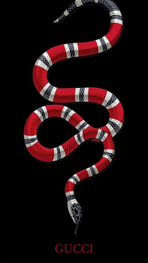 gucci snake wallpaper 4k|gucci snake background.